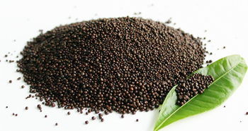 生物有機肥料加工如何能降低成本提高肥效