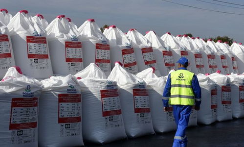 美財政部批準與俄羅斯進行化肥 農(nóng)產(chǎn)品交易