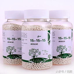 養花中的各種肥料該如何使用